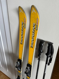 Skis and poles 