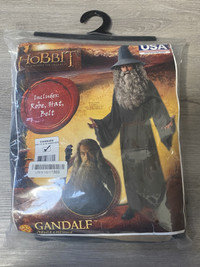 The Hobbit Gandalf & Galadriel adult costume