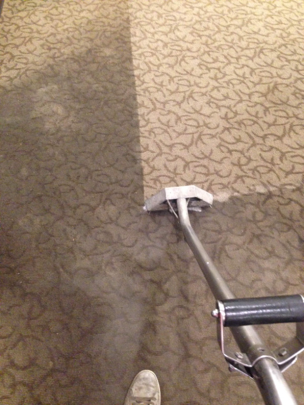 Professional Truckmount Carpet Cleaning  in Cleaners & Cleaning in Edmonton - Image 4