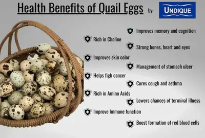 Available for egg and rabbit sales on weekends only. $2.00 A Dozen $5.00 Quail egg scissors $3.00 Ma...