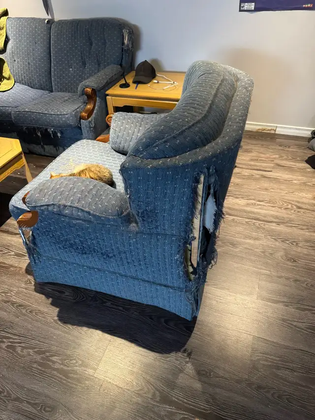 moving. Items to go in Multi-item in Barrie - Image 2