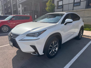 2021 Lexus NX 300 Signature