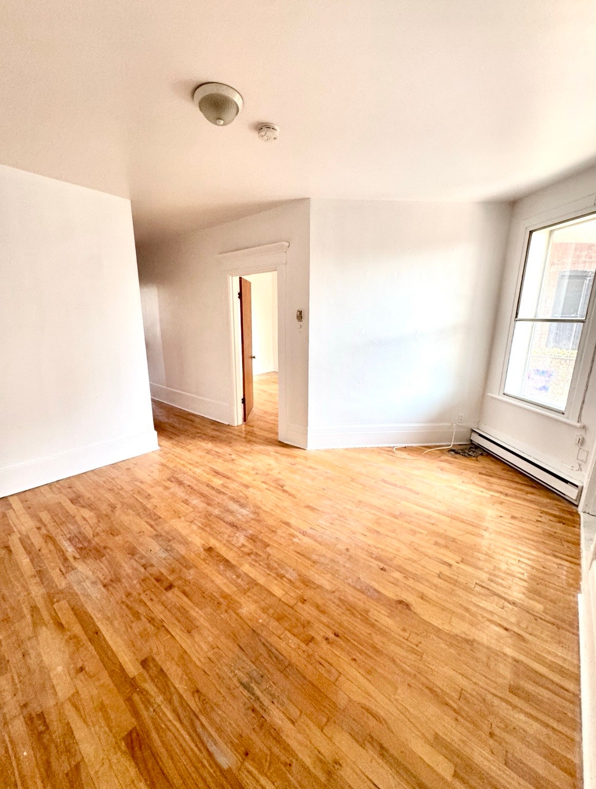2226 Avenue du Mont-Royal E — photo 3