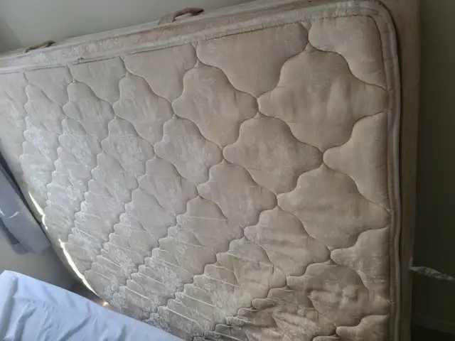 Free Queen Mattress and Spring box in Free Stuff in Oshawa / Durham Region - Image 2