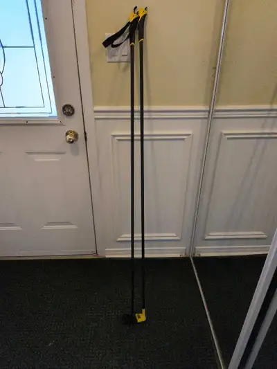 Swix Ski Poles, View more