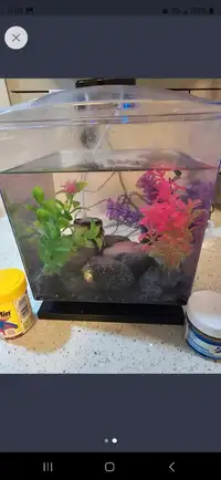 Fish tank and decor