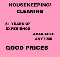 Housekeeper/Cleaner 