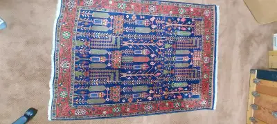 Hand-Knotted Iranian Rug, View more