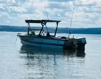 Boat for sale 20'