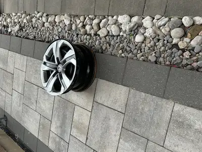 4 Good Condition 17 inch Diameter Stainless Steel Rims with Honda Hub Cap 5 Bolt Pattern. - used for...