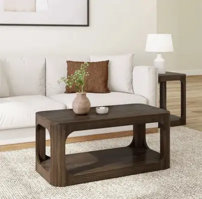40 in. Walnut Modern Rounded Rectangular Coffee Table With Shelf, View more