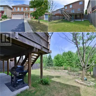 Walkout Legal Basement Apartment for Rent - Brampton
