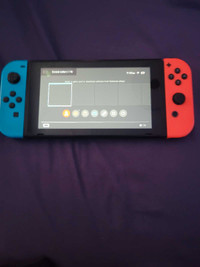 Nintendo switch and case