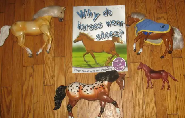 Horse and Pony books and toy model Horses