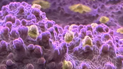 coral frags, View more