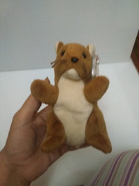 TY Beanie Baby: 'Nuts' the Squirrel 1996