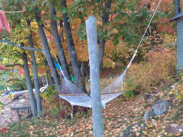 Private Cottage on beautfull Bobs Lake in Ontario in Canada - Image 7