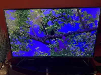 Hisense 55" 4K Smart TV (Model 55H6607), View more