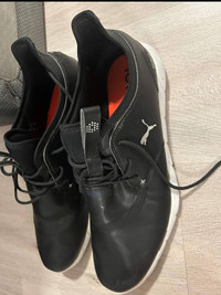 Men’s Puma Golf Shoes