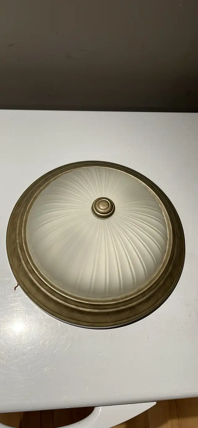 Ceiling Light Fixture