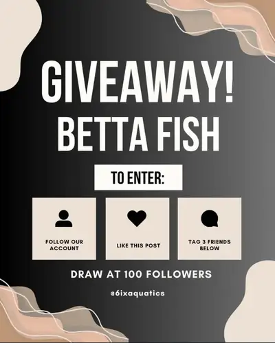 Follow us on instagram @6ixaqautics