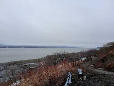 Pour 1er juin 2026 URGENT, À 5 min de piste cyclable. Loyer modéré. Vieux Lévis début Lauzon. En col...