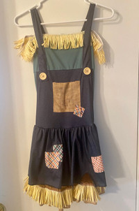 Wizard of Oz scarecrow costume