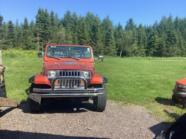 Jeep Wrangler 1994 — photo 4