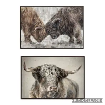Highland Cow Wall Art - Set of 2 large prints, View more