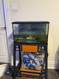 10 gallon fish tank with stand 