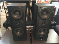 Unknown Make / Model Speakers, Tonsil Drivers (Totem Sttaf) Pair