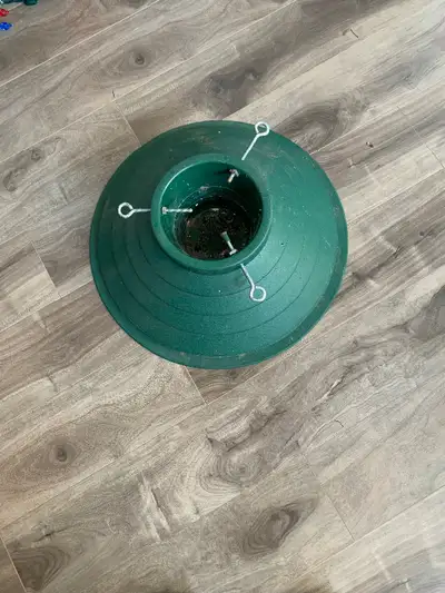 Pied de sapin, View more