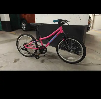 Raleigh Vibe Youth Bike, View more