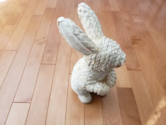 Bunny rabbit decorative571967897653094401