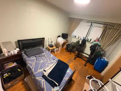 Room rent near humber college north campus