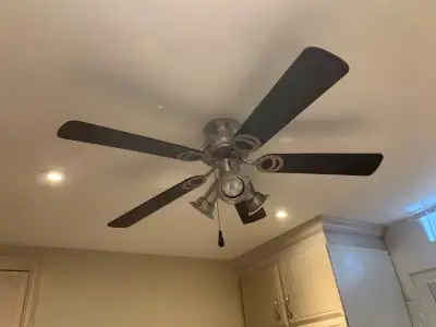 Ceiling Fan/Lights, View more