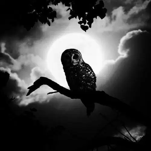 Looking for guitarist to play black metal
