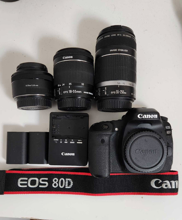 Canon 80D Bundle  in Cameras & Camcorders in Hamilton