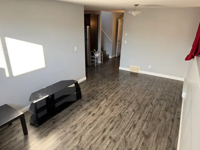 basement suite for rent