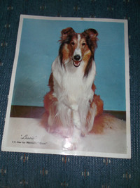 Vintage/Rare "Lassie" (T.V. series) Items-All items-$39.00
