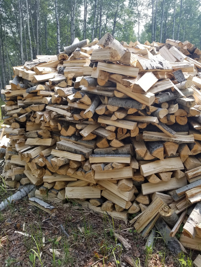 Firewood Poplar (seasoned)  in Other in Dawson Creek - Image 3