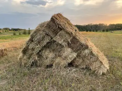 Square Hay Bales, View more