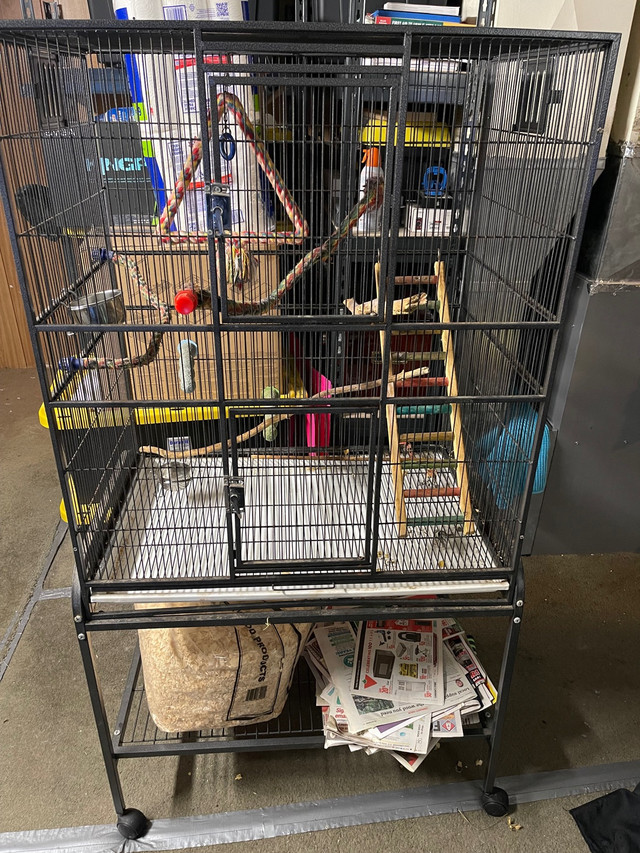 Large Cage - small animal/bird ($300 OBO) in Other in La Ronge