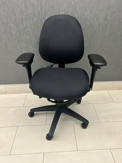 Ergocentric Ergonomic Chairs – Amazing Deal, View more