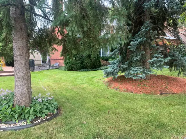 Quality lawn care without the big business price in Lawn, Tree Maintenance & Eavestrough in Cambridge - Image 6