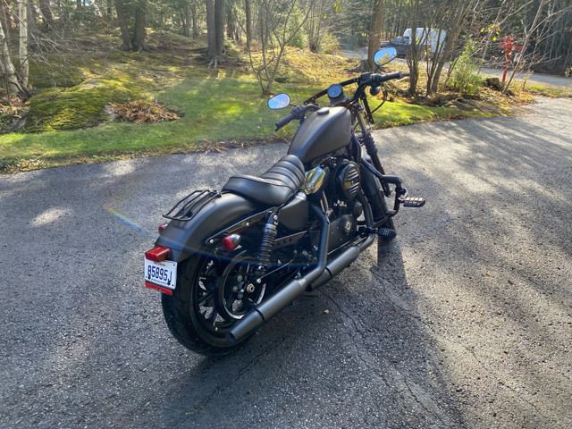 Harley Davidson 883 iron 2019 in Touring in Laurentides