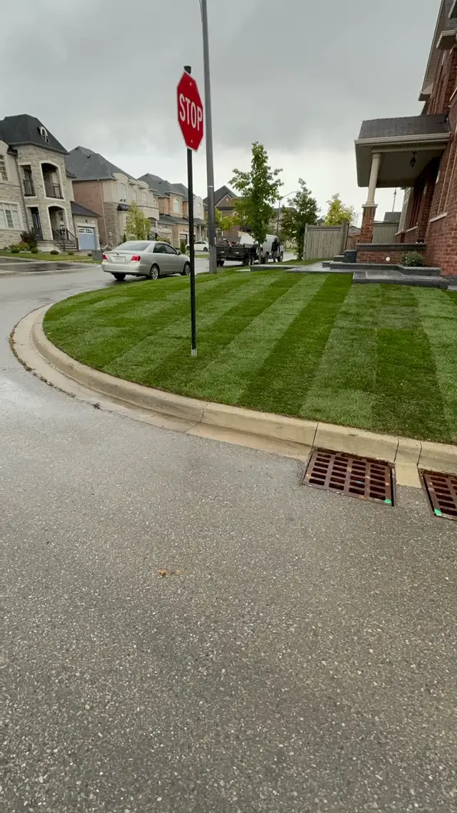Sod Installation – Reliable & Affordable (GTA)63749436286977121