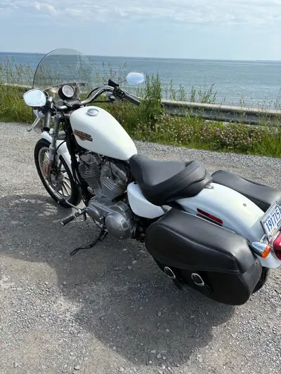 2008 Harley Sportster 883 Fuel injected Pearl white New mustang seat Quick release windscreen New Sp...