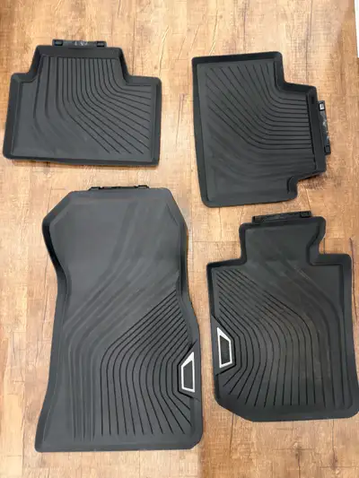 OEM carpet + OEM winter floor mat Carpet - never used Winter Floor mat - used for two season, 9.5 /...