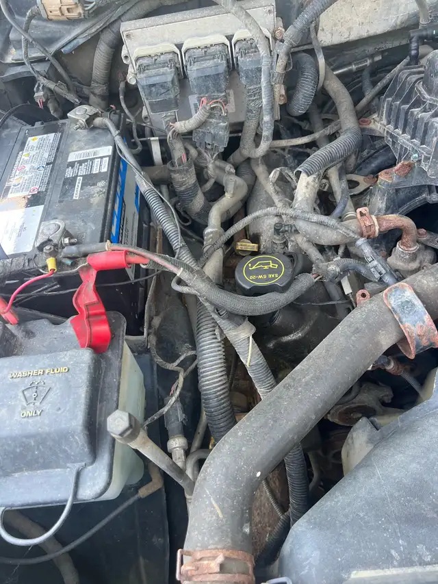 F150 Truck 529384576533155849